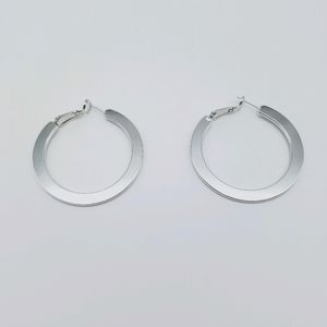 Silver Hoop Earrings (NWOT)